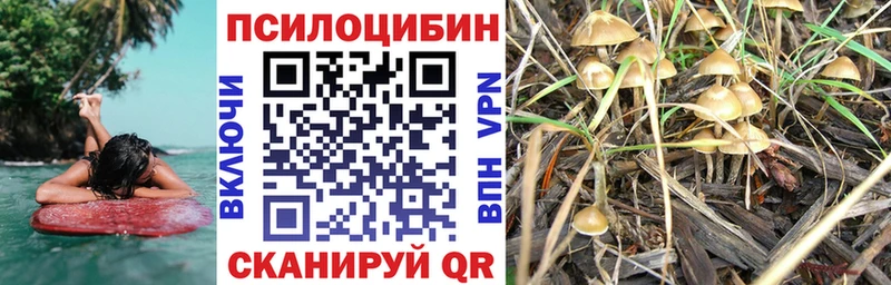 Псилоцибиновые грибы Psilocybine cubensis купить Разумное